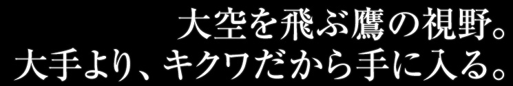 大空を飛ぶ鷹の視野。大手より、キクワだから手に入る。